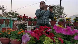 Aaja Tujhko Pukaare Mere Geet Re  Flute Cover By P D Dixit  Geet  Mohhammad Rafi 