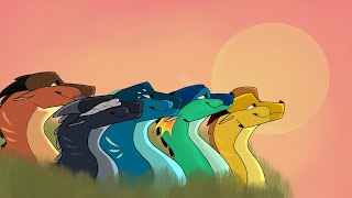 Run Wild Map part 10-11/finished