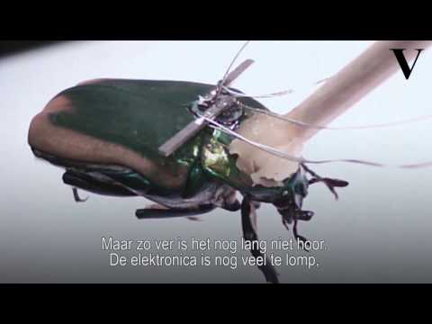 Video: Cyborg-kakkerlakken - Alternatieve Mening