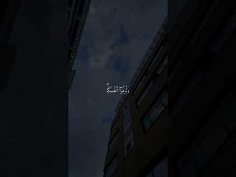 فلا تلوموني ولوموا أنفسكم سورة إبراهيم الآية 22 يوسف الصقير