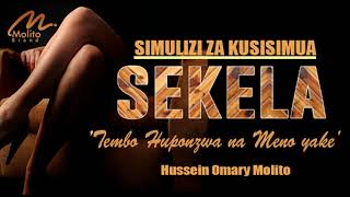 SIMULIZI ZA KUSISIMUA // SEKELA  (Tembo huponzwa na Meno yake)  SEHEMU YA KWANZA  ( 01 )