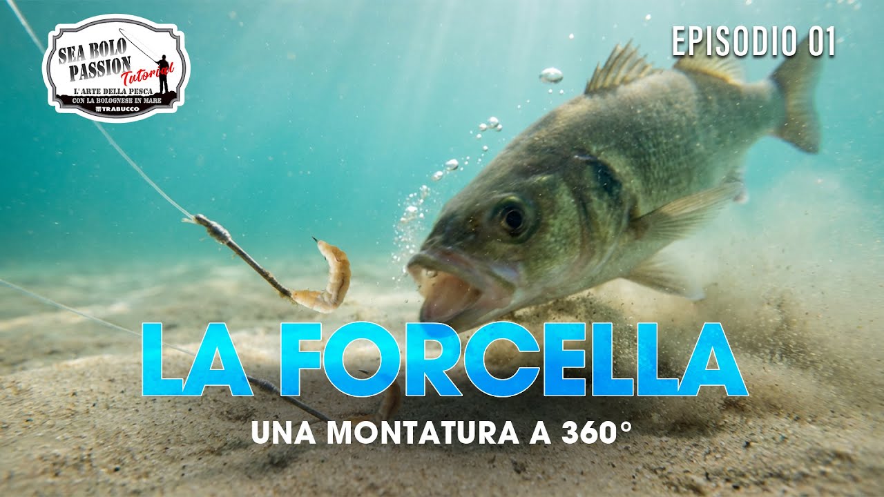 Come costruire LENZA A FORCELLA per la BOLOGNESE in MARE | Sea Bolo Tutorial Ep.1