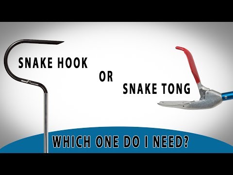 Snake Hook vs Snake Tong | Which One Should I