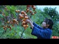 吊柿饼|It’s a red mountain, and in the fall, it’s natural to make some sweet persimmons.|Liziqi channel
