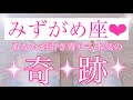 🌸みずがめ座さん🌸これから引き寄せる本気の奇跡🌸【大丈夫💖あなたはミラクルを引き寄せてもっと素晴らしい人生に向かっていきます🥰】🌸💖【見たときがタイミング🥰】💖無料タロット💖カードリーディング💌