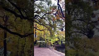 Beautiful nature love  follow for daily nature content?#travel #nature #germany  #dresden