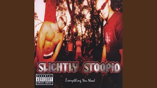 Video voorbeeld van "Slightly Stoopid - Collie Man"