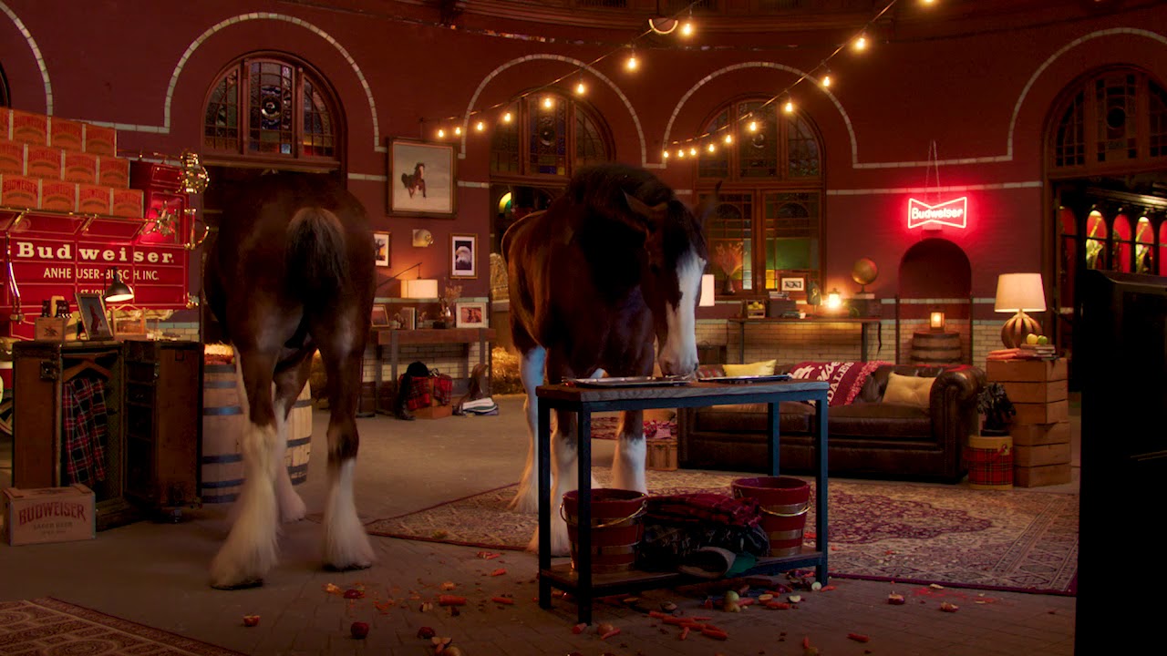 Budweiser Live From The Clydesdales Stables For Super Bowl 52