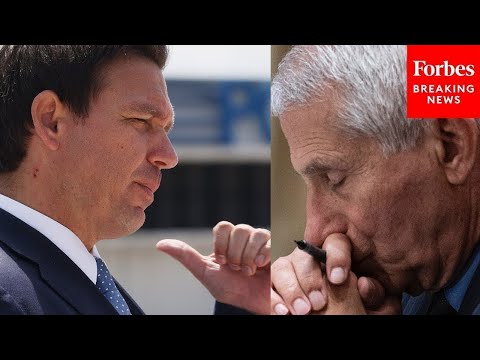 'Flat-Out Disgusting': DeSantis Tears Into Fauci Over Experiments On Dogs