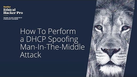 Ethical Hacker Pro DHCP spoofing man-in-the-middle attack demo