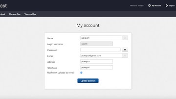 Finding Stored XSS Without Proxy Demo ProjectSend
