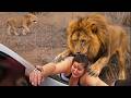 110 Most BRUTAL ANIMAL ATTACKS Caught on Camera #4
