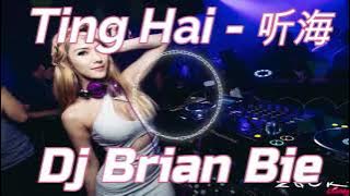 Ting Hai   听海 Mendengarkan Laut Remix By Dj Brian Bie