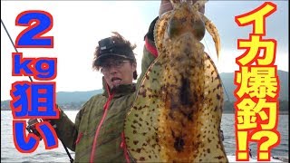 デカイ!!船で２kgオーバーのイカを狙う！