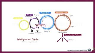 Are Your Genes Depressing You? MTHFR and Your Mood