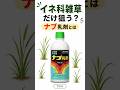 【除草剤】ナブ乳剤について #除草剤 #農業 #雑草 #現代農業 #雑草対策
