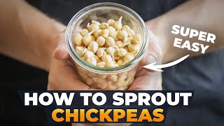 HOW TO SPROUT CHICKPEAS & Why you should do it (Benefits of sprouting explained)