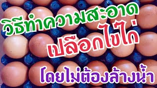 วิธีทำความสะอาดไข่ (สะอาดโดยไม่ต้องล้าง)   #ไข่ไก่ #ไก่ไข่อารมณ์ดี #ไก่ไข่  #ไข่เป็ด screenshot 2