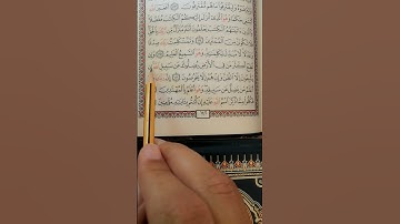 تعليم سورة الأنعام من الآية 116 إلى الآية 118