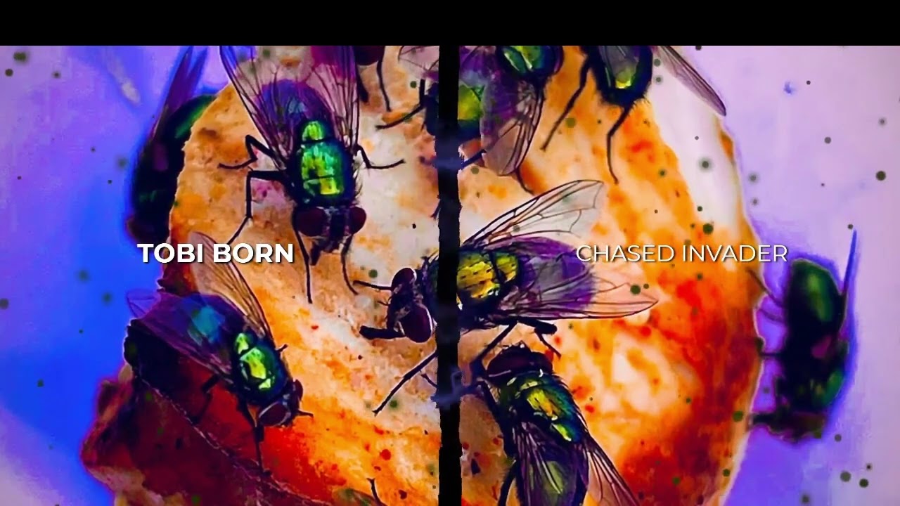 Tobi Born - Chased Invader ( Official Audio )