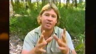 Steve Irwin's Message to his fans.
