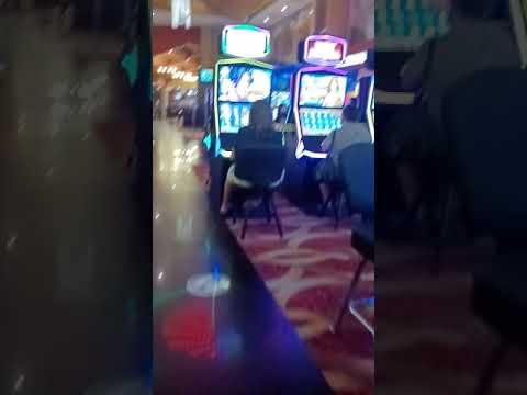 Обзор Онлайн Казино Fresh, Регистрация в Fresh Casino, Бонусы при Регистрации в Fresh Casino!