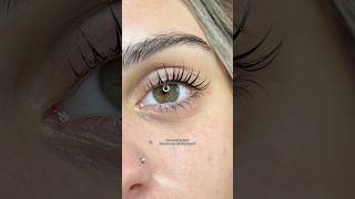 Korean Lash Lift Results ✨ Real Clients, Real Lashes | Ho Chi Minh City Vietnam
