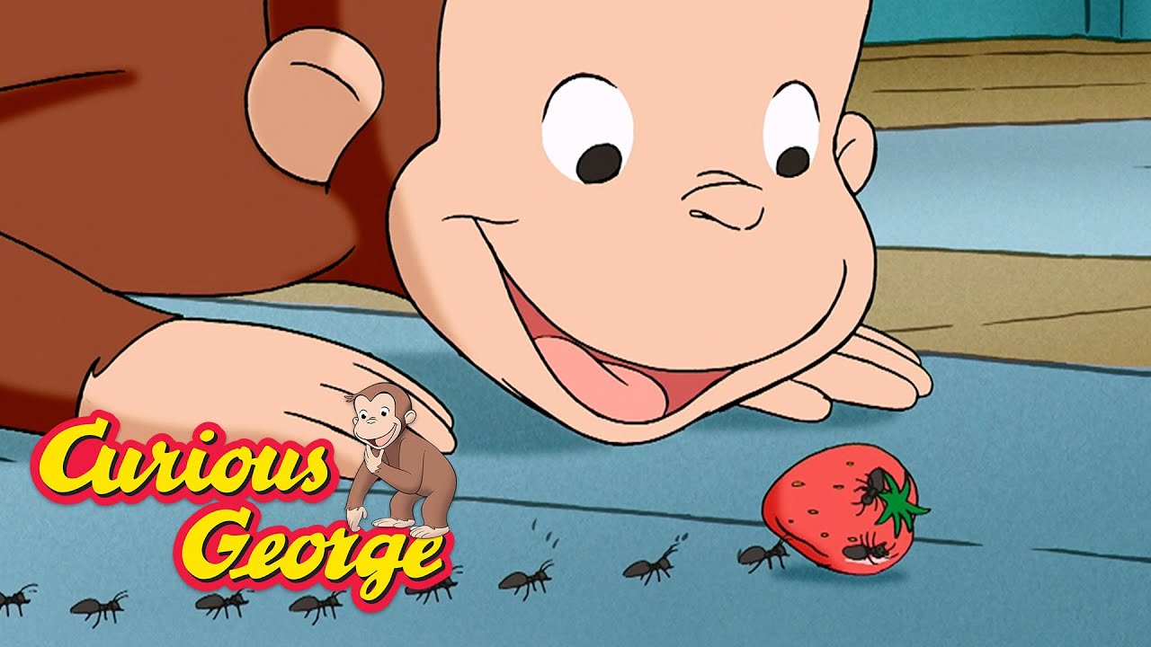 ⁣Curious George 🐵 George makes a mess 🐵  Kids Cartoon 🐵  Kids Movies 🐵 Videos for Kids