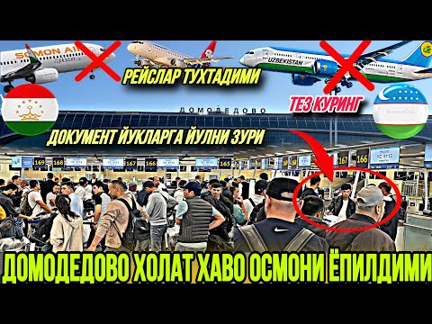 Video: Domodedovo airport