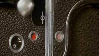 A Zed &amp; Two Noughts - title sequence