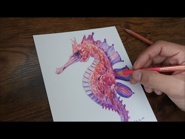 色鉛筆】辰年だから色鉛筆でタツノオトシゴ描いてみた｜Realistic