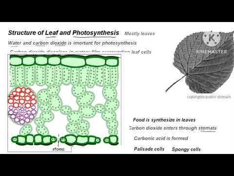بلوچستان بورڈ جماعت ششم جنرل سائنس 30واں حصہ Balochistan 