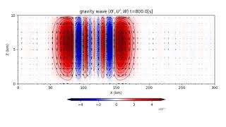 A simulation of propagating 2D internal gravity wave with a nodal DGM