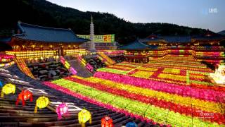 [Timelapse] DYNAMIC BUSAN #62 _ 삼광사연등축제 (Samgwangsa Lotus Lantern Festival) _   부처님오신날 2017