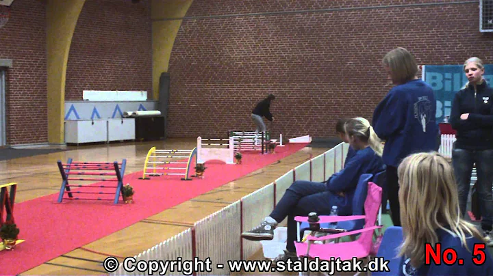 Danish Championships 2012 in Rabbit Hopping - Elite straight - Top 10