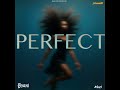 D Yani Perfect Mari The Producer Dec 2025 mp3