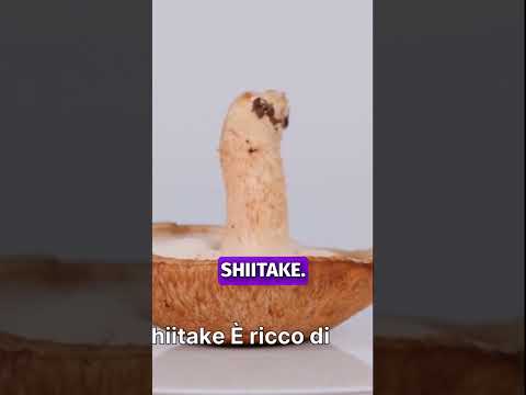 Video Leishmaniosi nel Cane 2 Funghi Medicinali Potenti Micoterapia