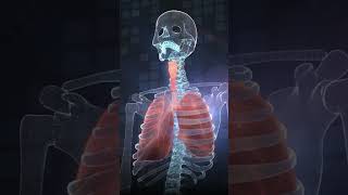Asthma Explained in 2 Minutes – Causes, Symptoms & Treatment