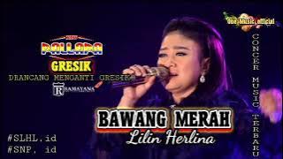 BAWANG MERAH Lilin Herlina NEW PALLAPA GRESIK