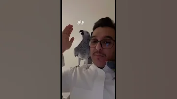 سعيد بن تركي شوف كيف حقد انت وسخ 