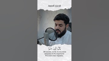 سوره الاحزاب ان الله وملائكته... ايه 56 محمد رعد الكردي Сура ал Ахзоб оят 56 Мухаммад Раъд ал Курди