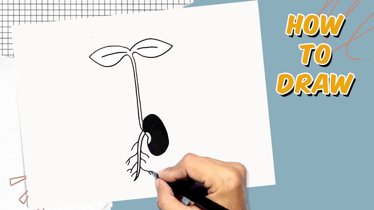 How to Draw Sprout - YouTube