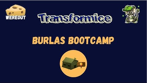 Transformice - Burlas Bootcamp | Bootcamp Highlights #1