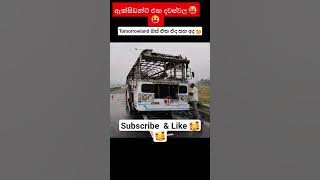එයාව ගිනි අරගෙන 🥺 🥺 #modifiedbus #srilanka #srilankabuses #busshortvideo #youtubeshorts #buslanka