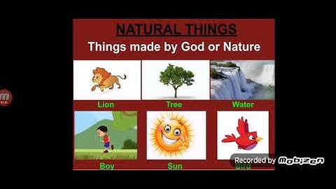 Computer Std 1 Chapter-1 Machines around us (Part-1)