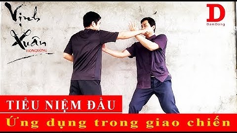 Hướng dẫn cơ bản vịnh xuân quyền