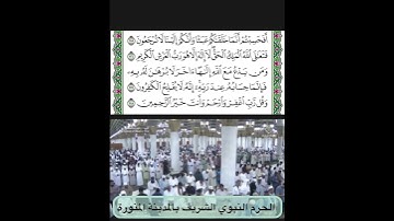 تلاوة من سورة المؤمنون قراءة الشيخ علي بن عبدالرحمن الحذيفي
