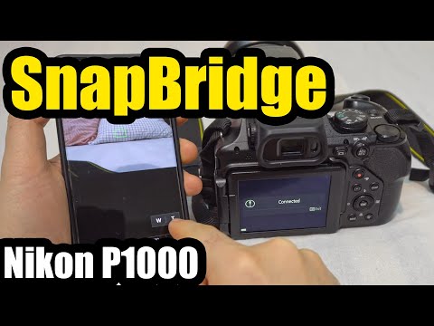 Nikon P1000 connected to Android Smartphone (SnapBridge app)