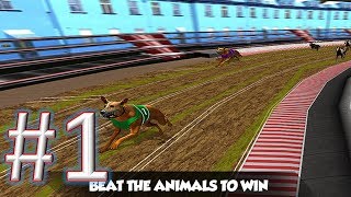 Crazy Real Dog Racing gameplay walkthrough 1 android & ios screenshot 4