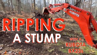 Stump Removal with a Kubota BX23s Backhoe (BT603)